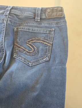 Silver Jeans Skinny Jeans in Dark Blue